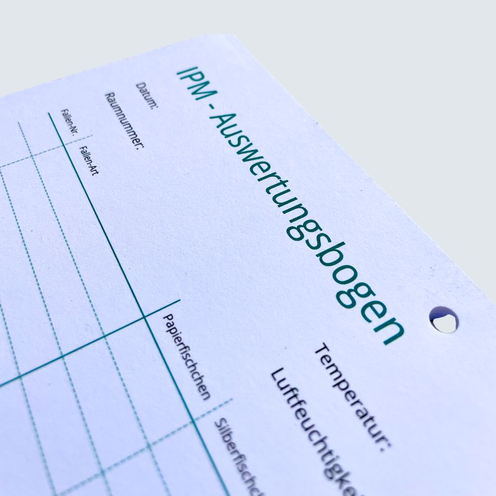 IPM-Auswertungsbogen Ausschnitt