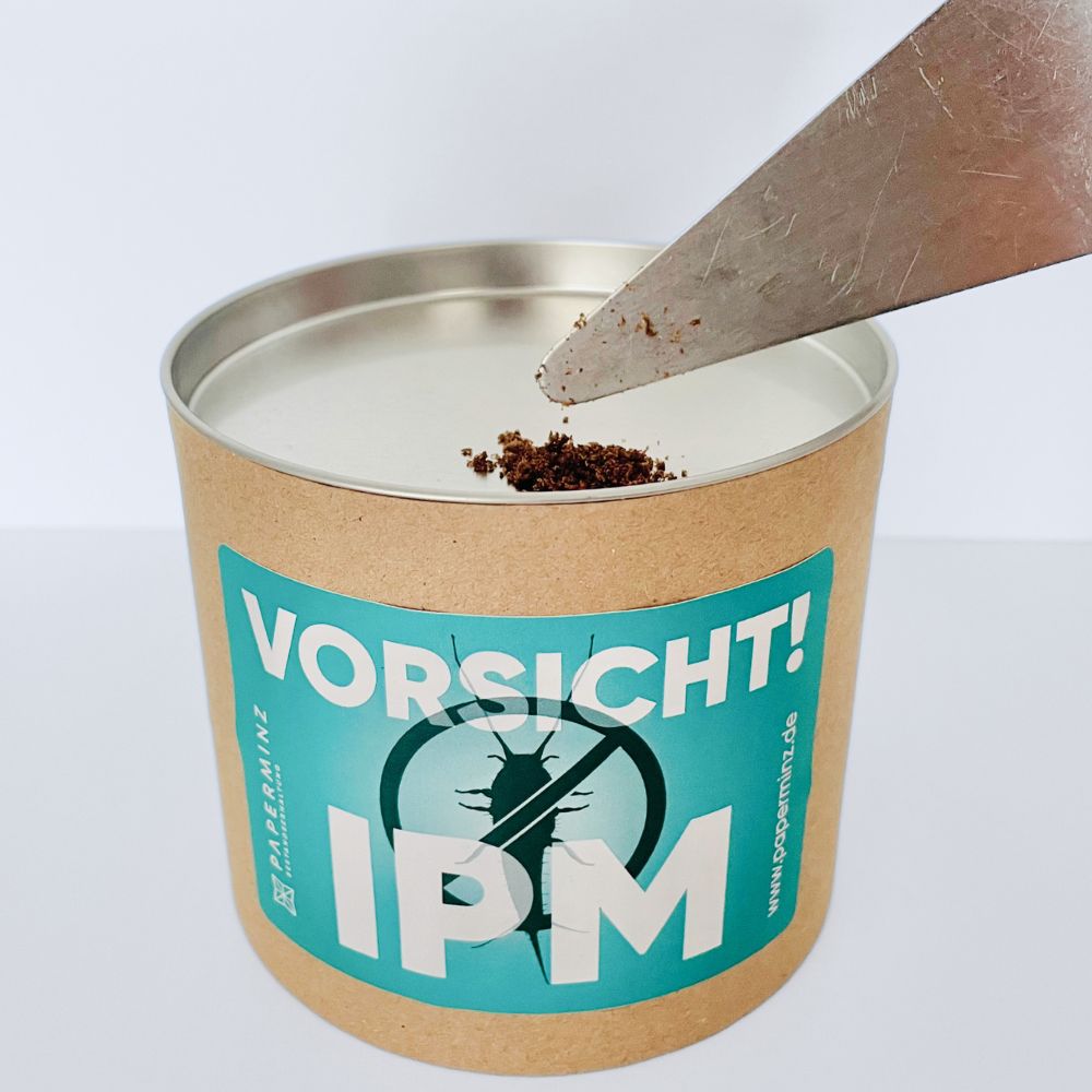 In Lebendfalle wird etwas Grillenmehl gegeben