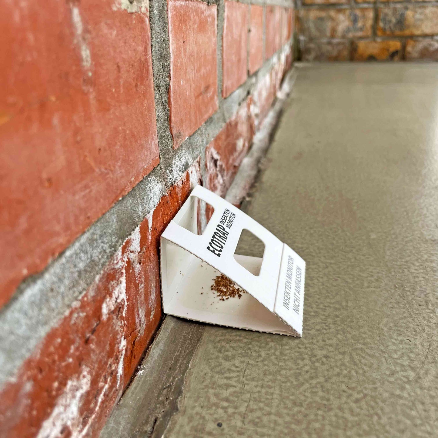 EcoTrap-Falle an der Wand