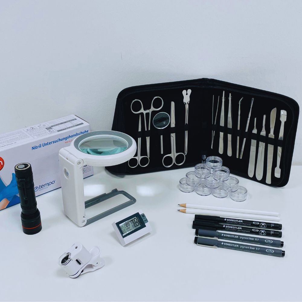 Lupe, Taschenlampe, Handy-Kamera, Thermo-Hygrometer, Handschuhe, Döschchen, Stifte und Untersuchungsbesteck