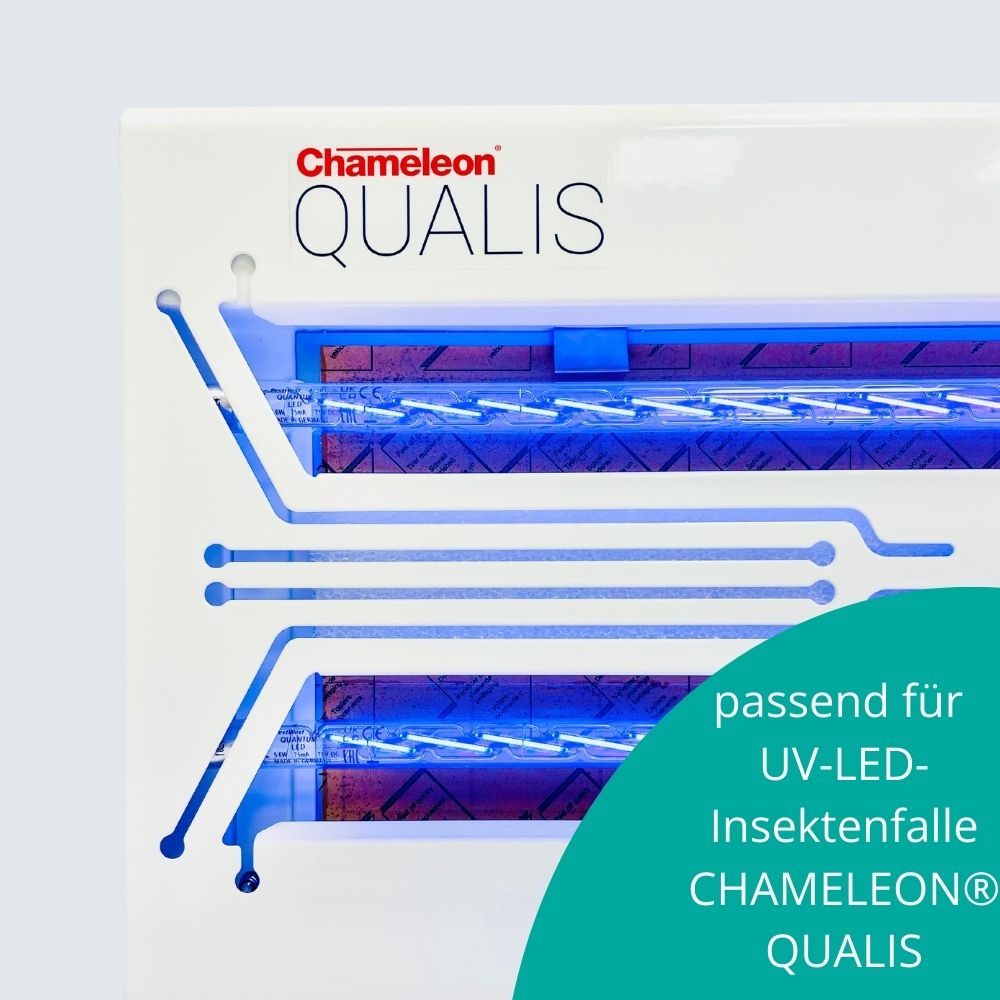 UV-LED-RÖHRE QUANTUM X